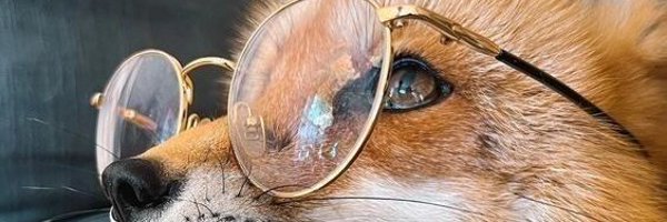 ThePolSy Profile Banner