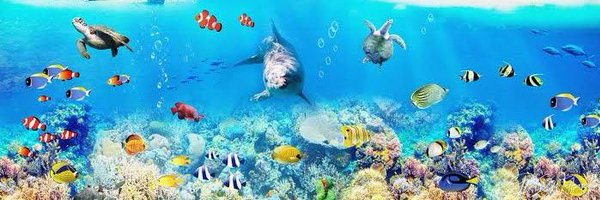 paisar168 Profile Banner