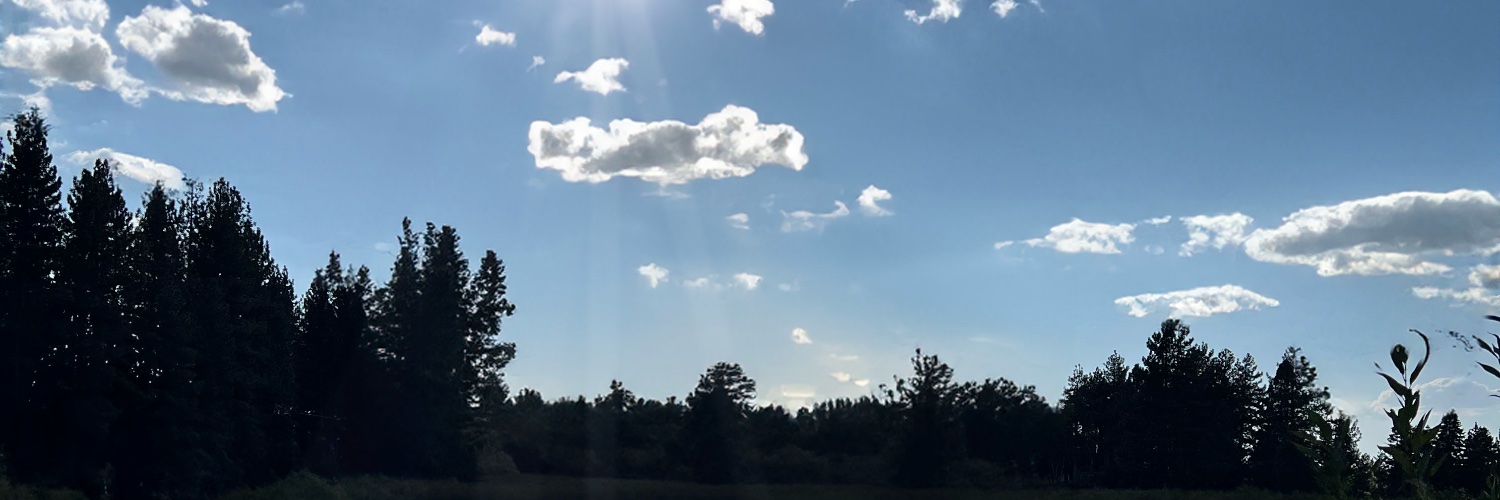JustMissesRose's profile banner image