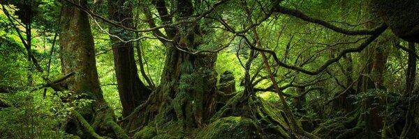 LeeBellon Profile Banner