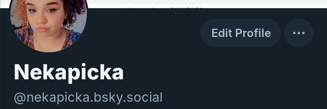 katfury228's profile banner image