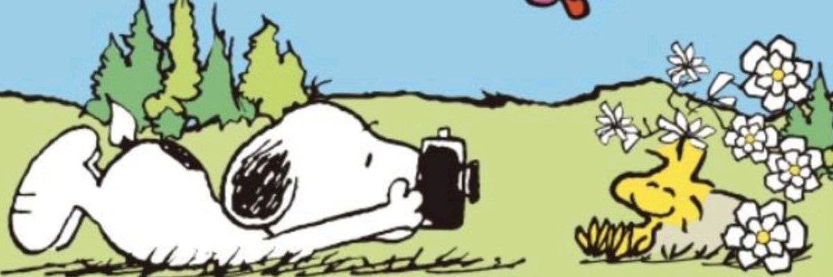 Bean banner
