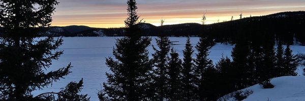 L25548Lapointe Profile Banner
