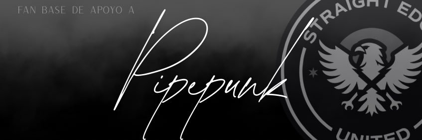 LlamitasPunk banner