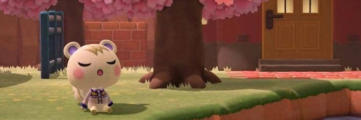 soozy 🦫 banner