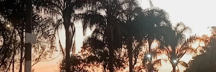 GSilva39887's profile banner image