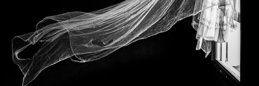 Nelson Dyar's banner