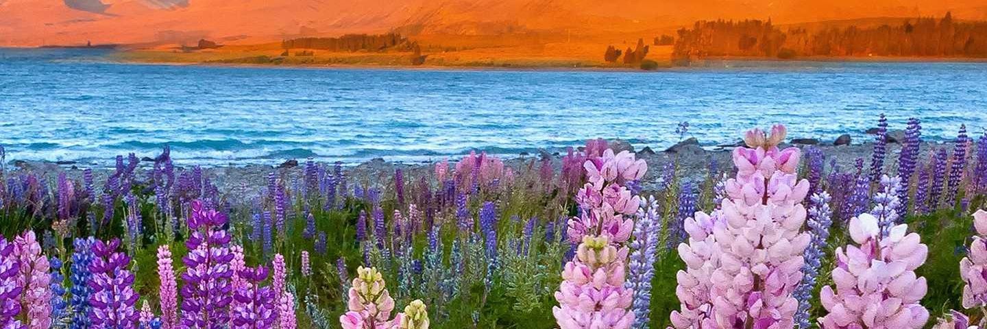 Jéssica González banner