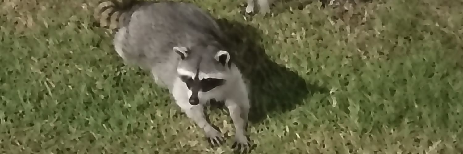 ArielC43692's profile banner image