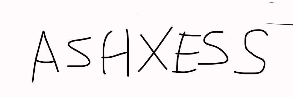 Ashxess banner