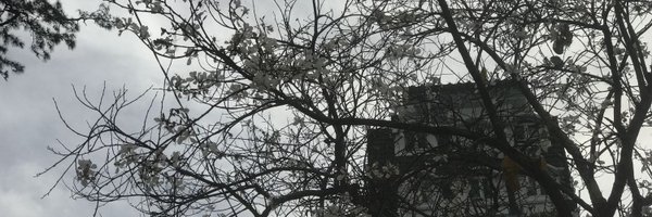 monarch_er Profile Banner