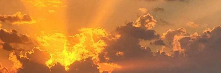 eli is seeing ari ♡ banner