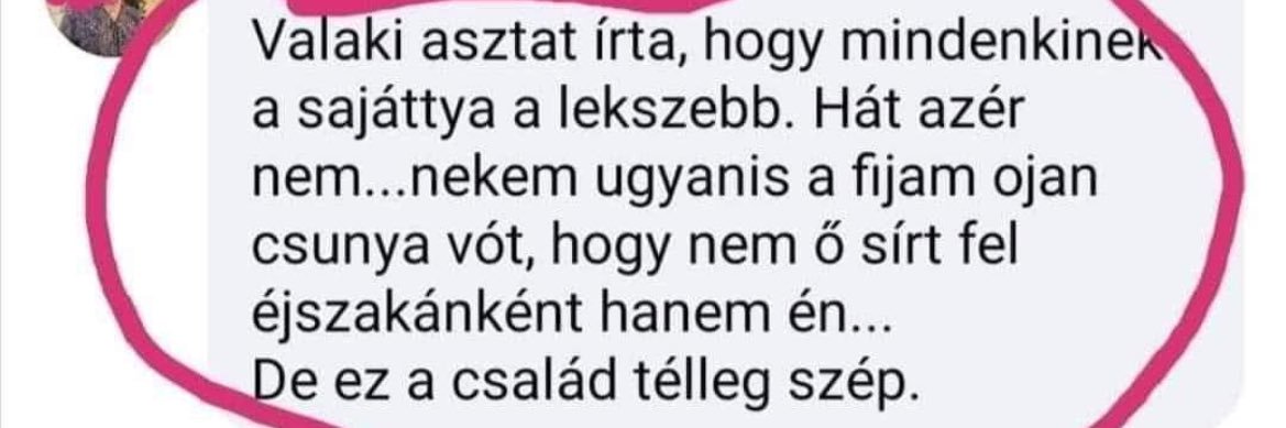 Hamuszőr #1 dionysia hater banner