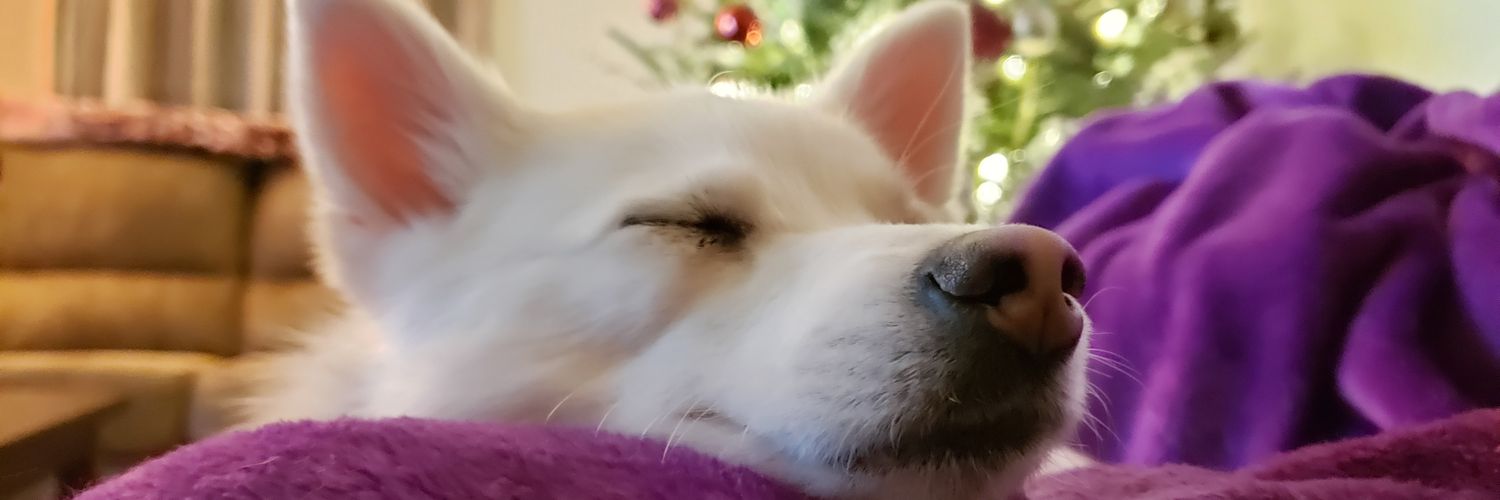 MariaPisano's profile banner image