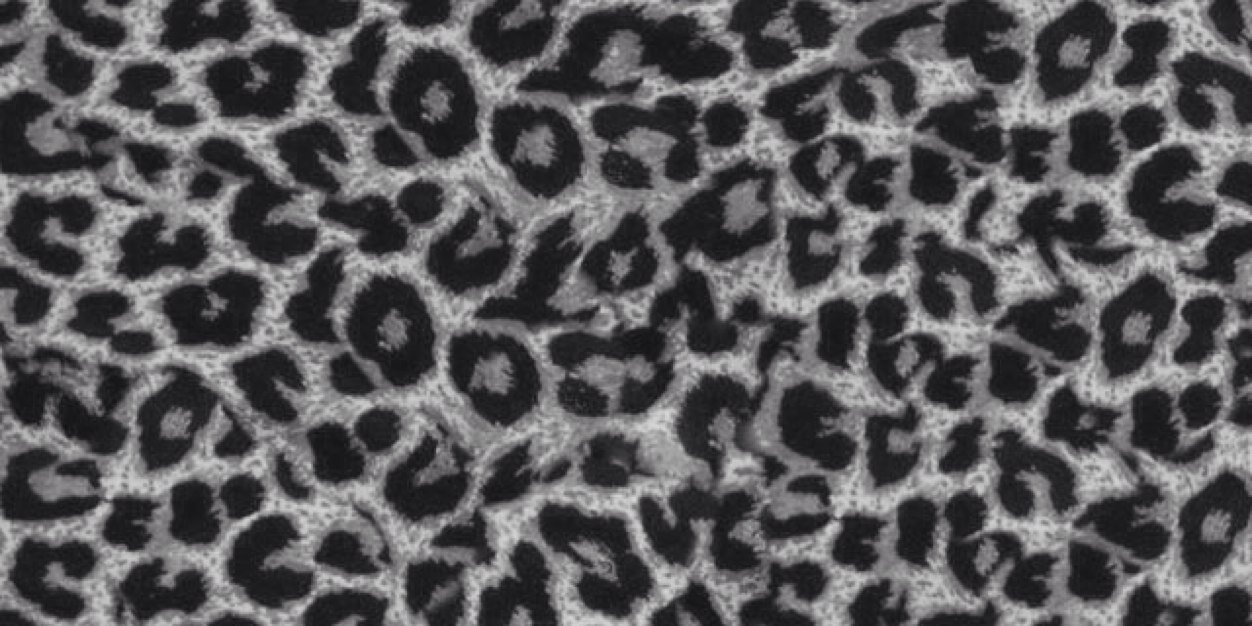mk_0812's profile banner image