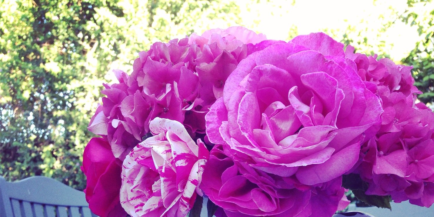 lisalicht's profile banner image