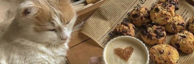❝ 𝐢𝐜𝐚 ❞ banner