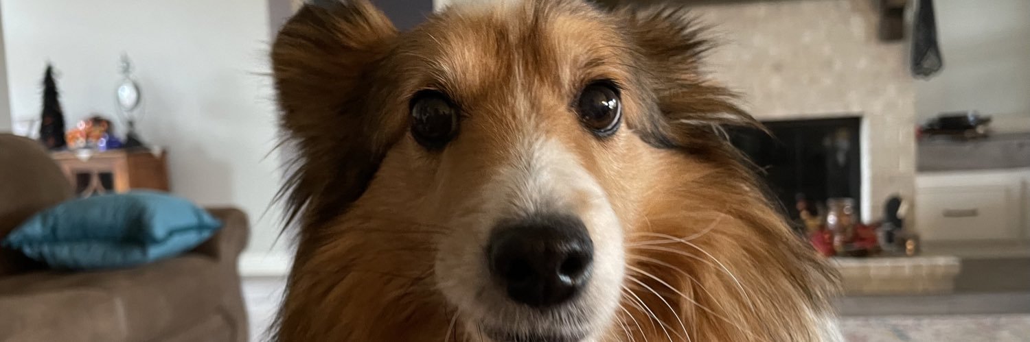 Justin G. Till banner