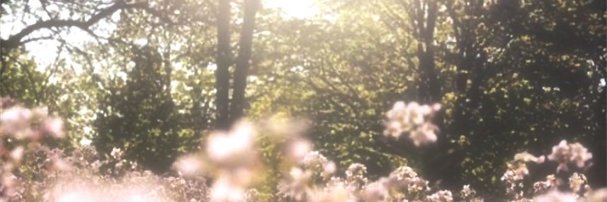 𝑂𝑙𝑦𝑑𝑖𝑎. banner