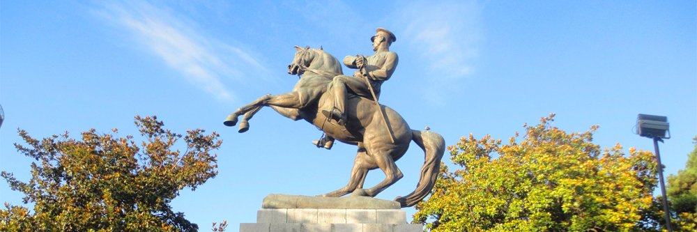 Anatolian Turk banner