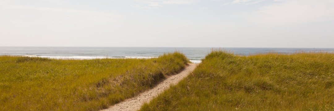 Erik Steighner banner