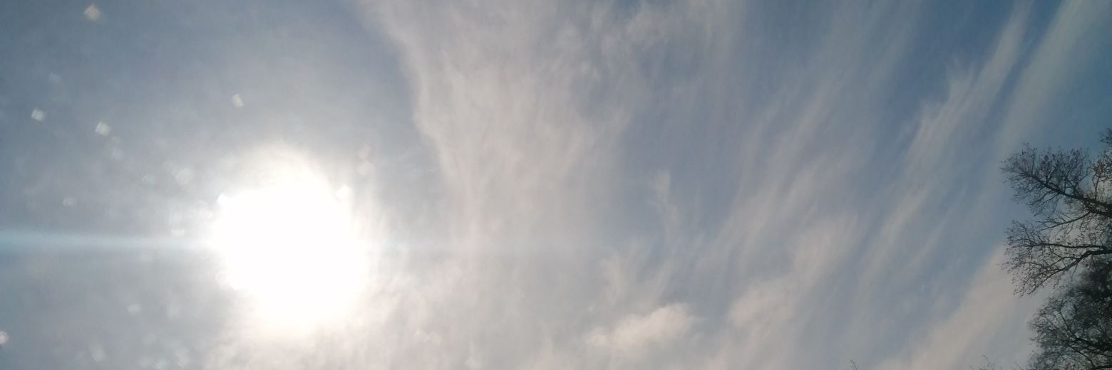 SunSeiUa's profile banner image