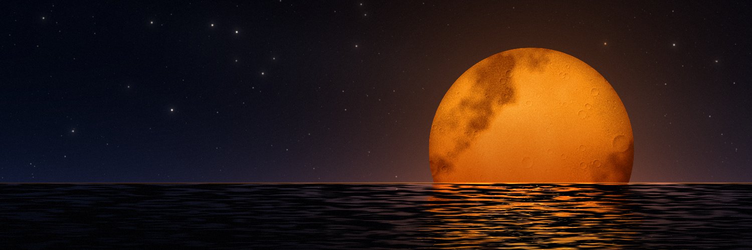 philosopherone's profile banner image