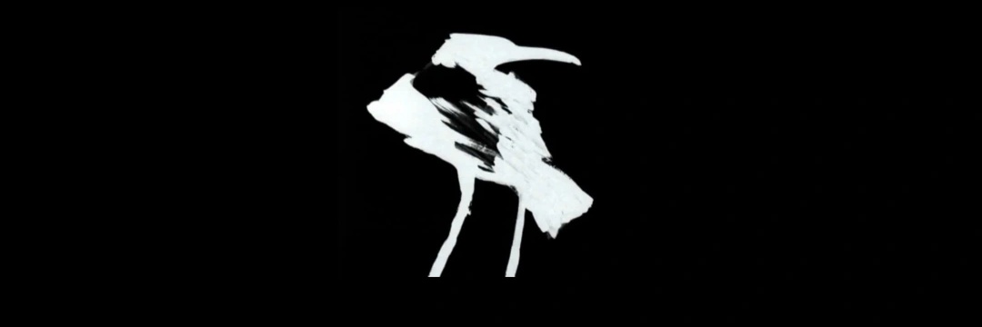 _sarakhatoon's profile banner image