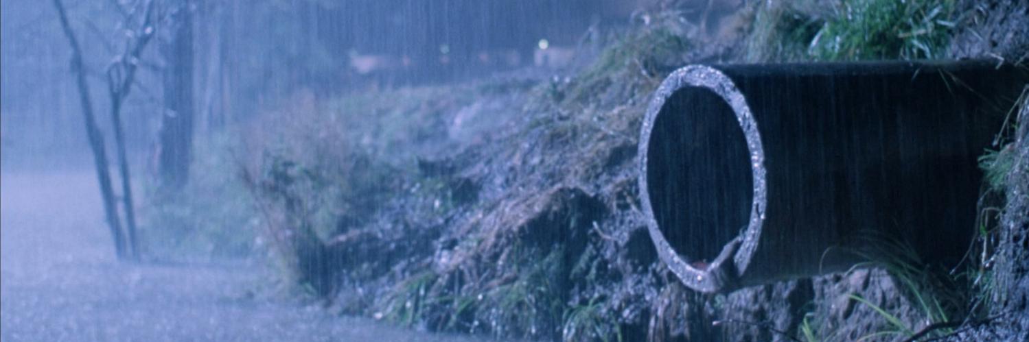 luckymouse's profile banner image