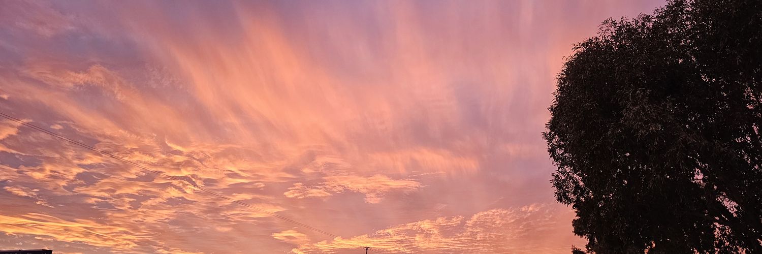 Bi_Sp1k3's profile banner image