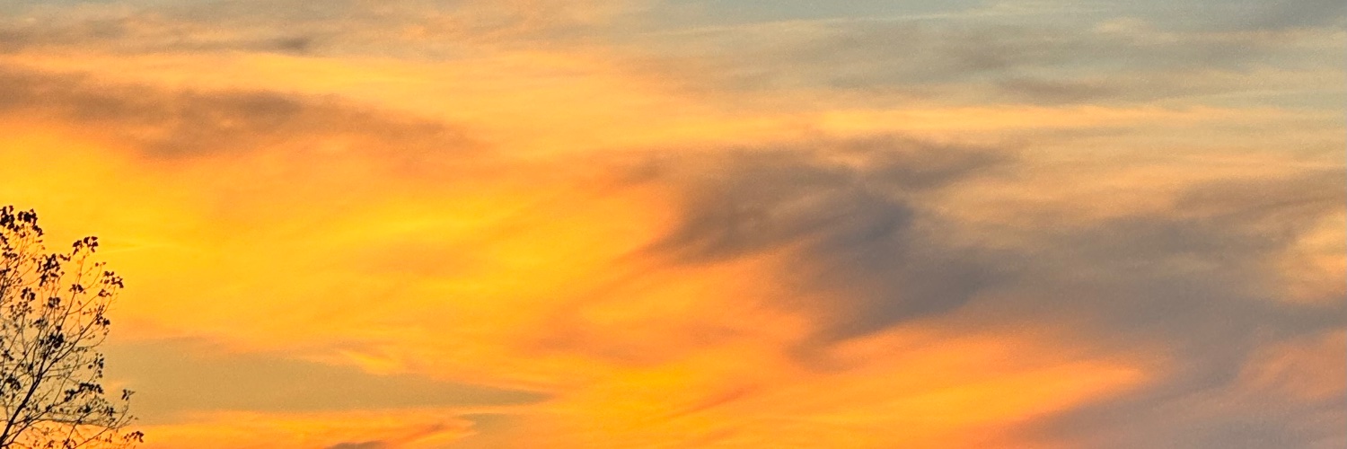 Vicki EiselStarinsky banner