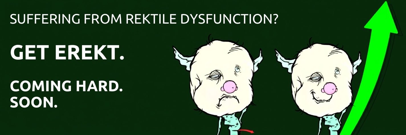 erektdotfun's profile banner image