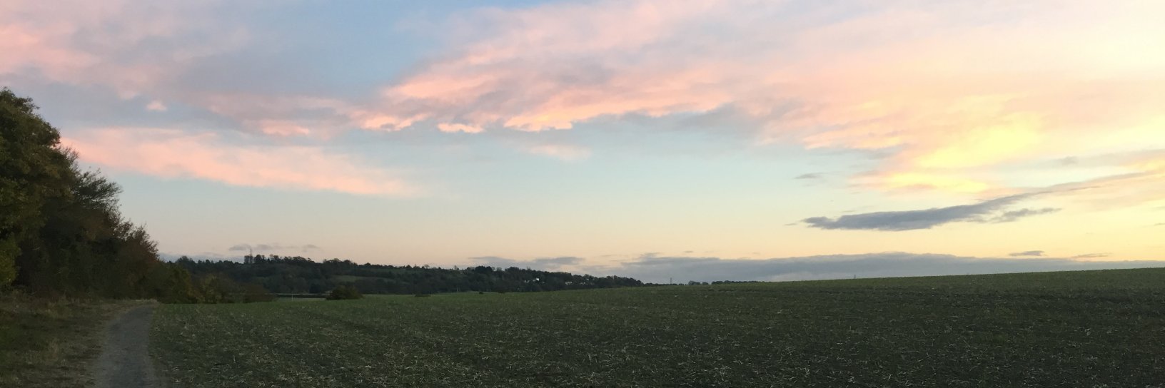 CandiceHampson's profile banner image