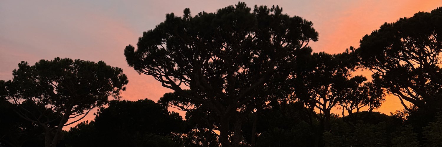 BILLEC4RT 🏦 banner