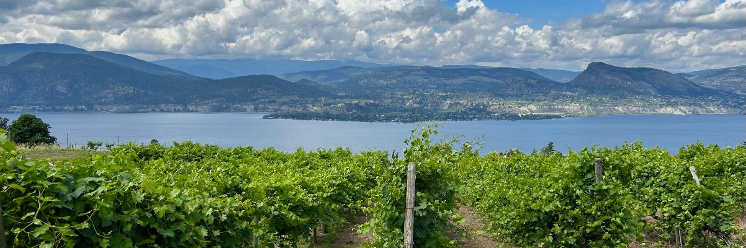 Grape Escapes Wine Tours banner