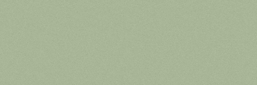 ICNSSOR's profile banner image