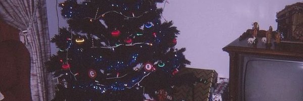 phangerines Profile Banner