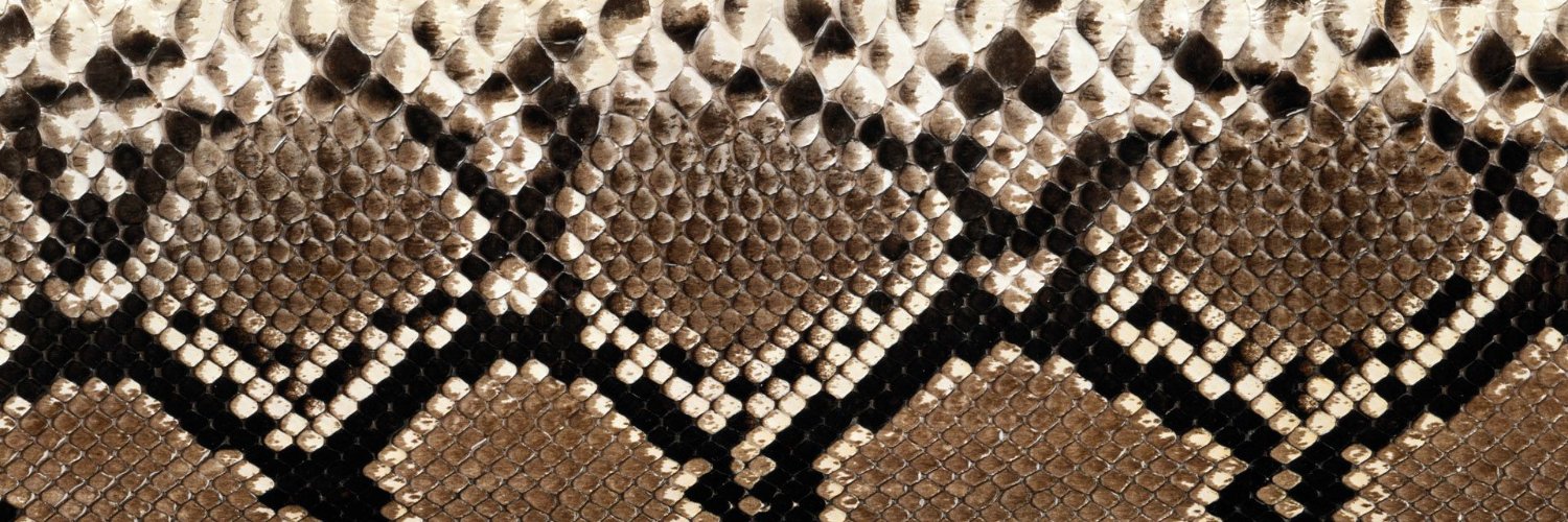 SritaMcCartney's profile banner image