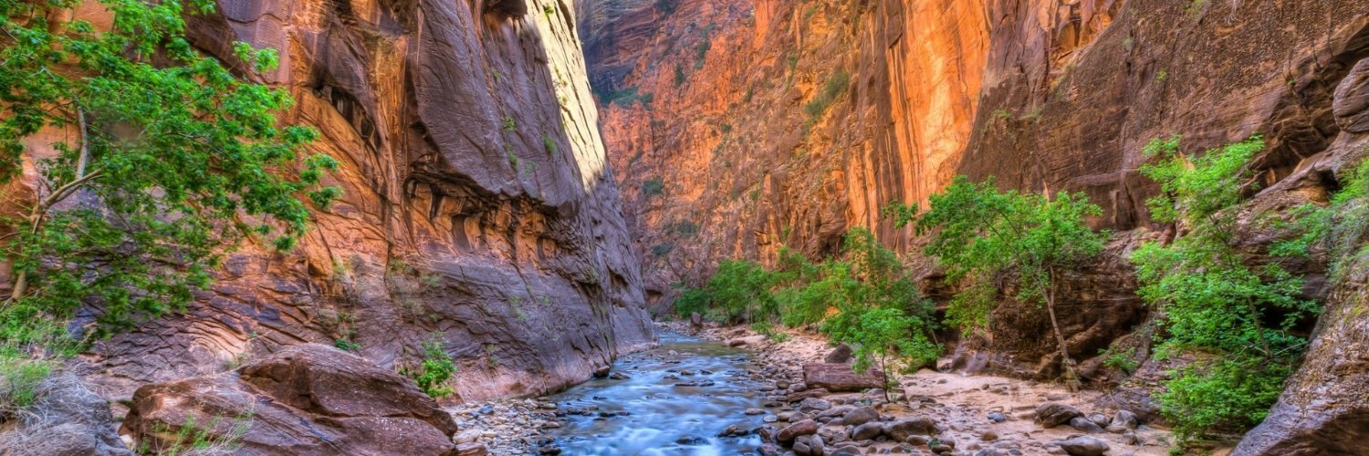 SjushEnthusiast banner