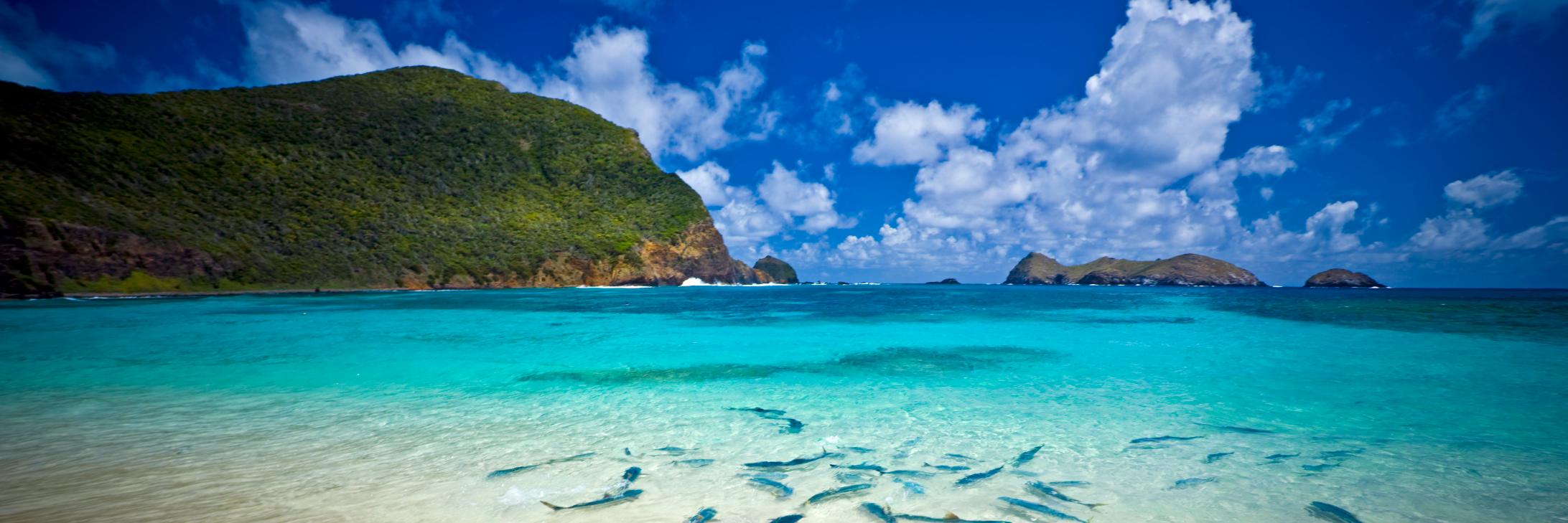 Amanda Sanders banner