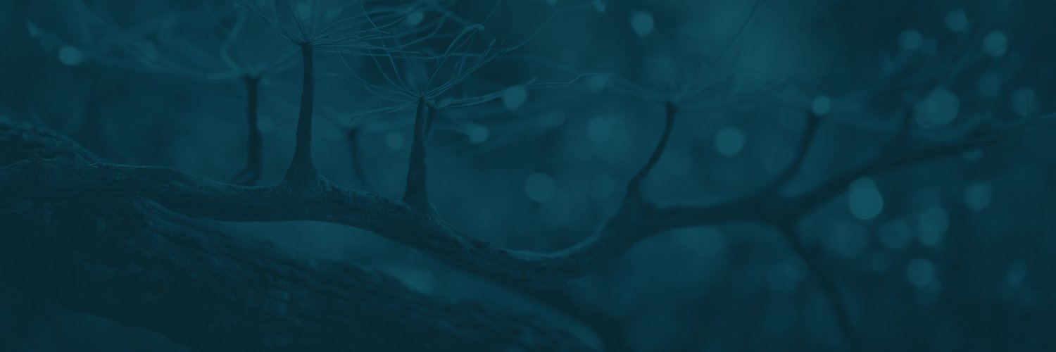 Brain & Environment Symposium banner