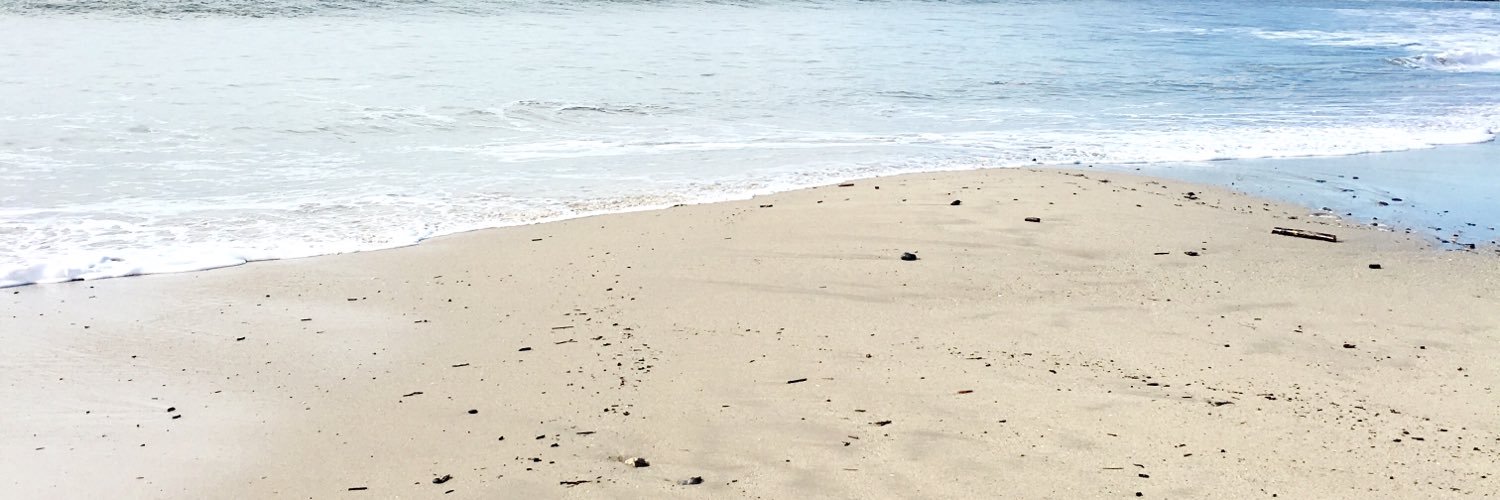 lcalbie's profile banner image