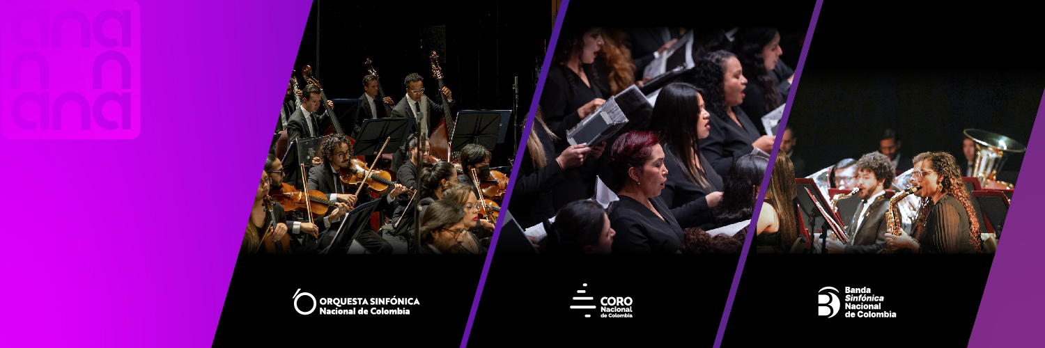 Asociación Nacional de las Artes banner