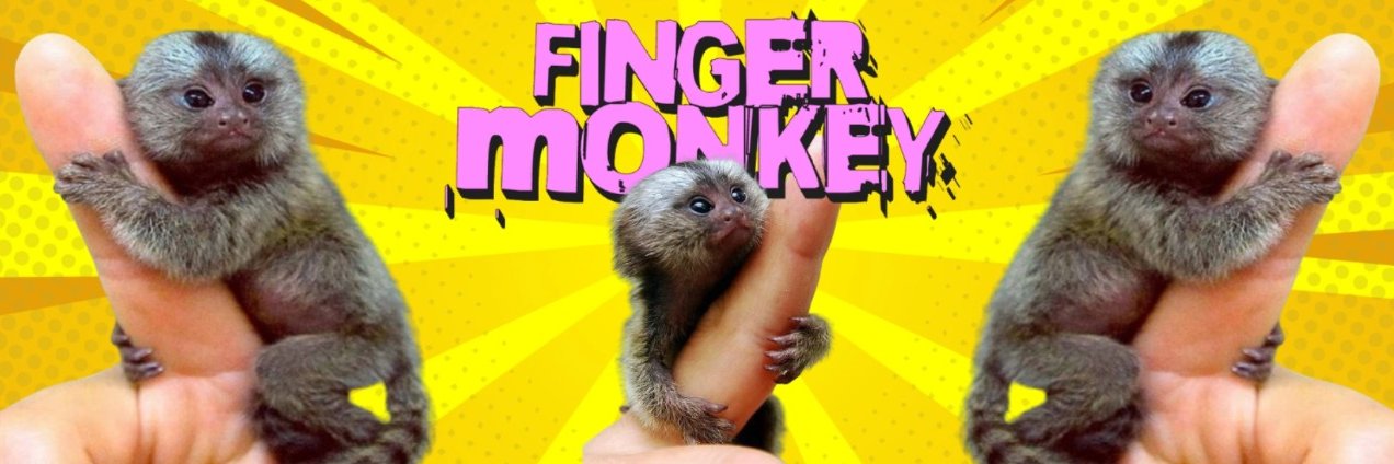 FingerMonkey 🐒 Finger It Out ™️ banner