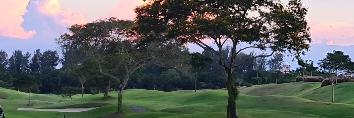 Patrick Aronson banner