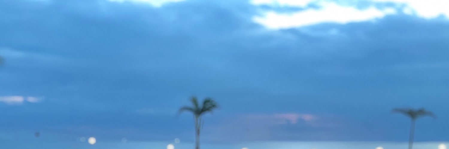 andinquee's profile banner image