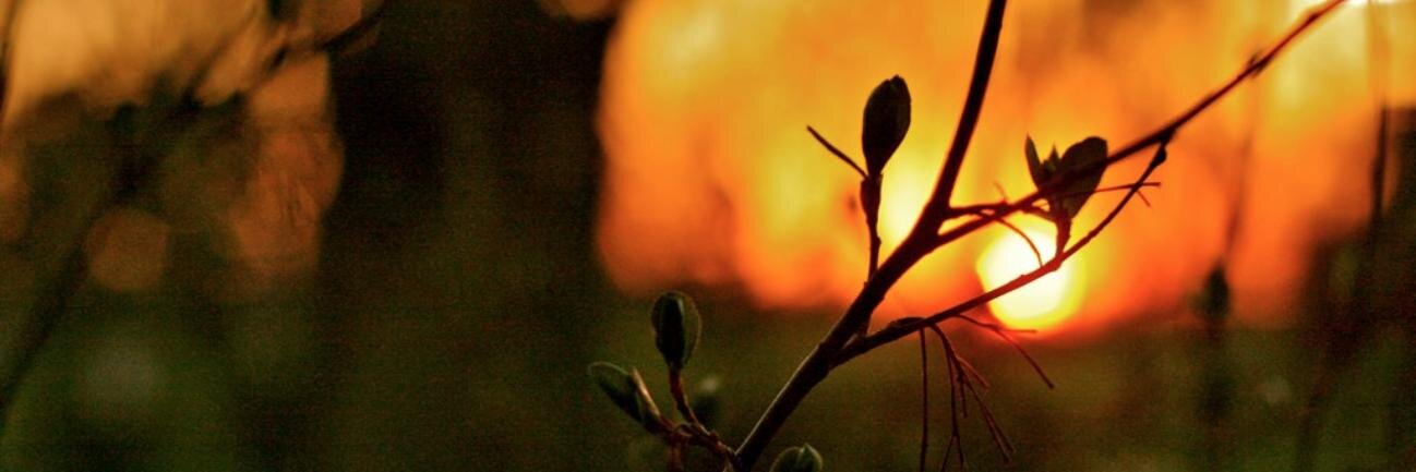 Jason Morehead banner