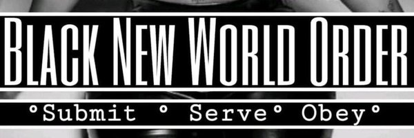 stallionkim0 Profile Banner