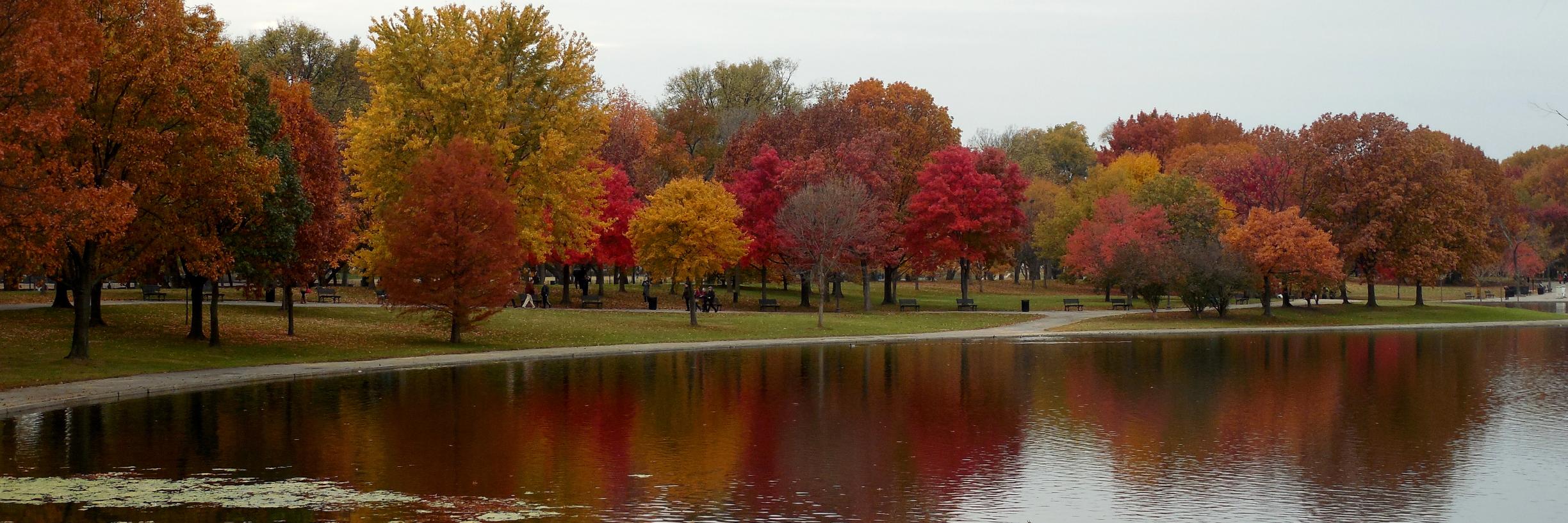 Priscila Gonsales banner