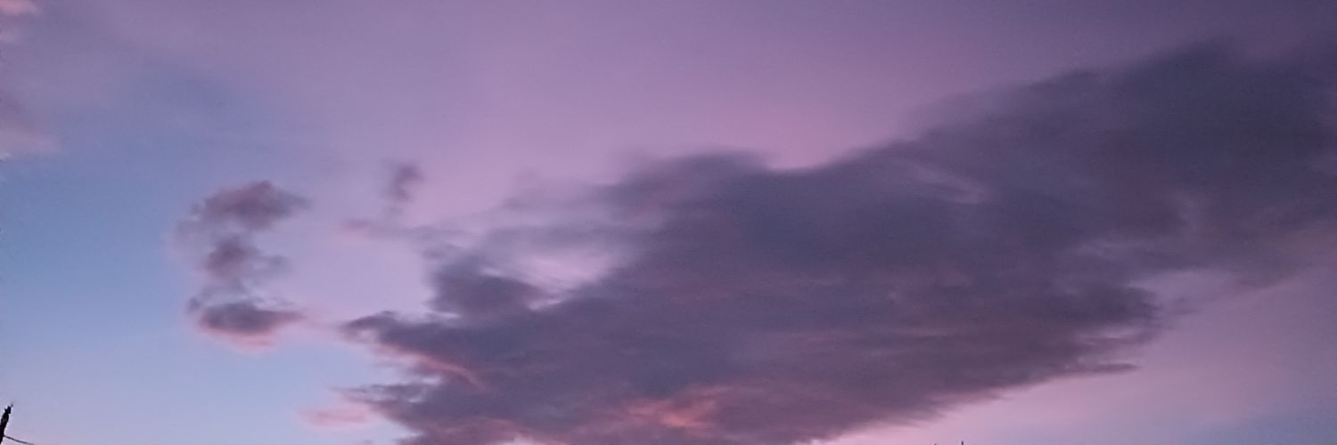 beerusss_'s profile banner image
